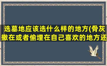 选墓地应该选什么样的地方(骨灰撒在或者偷埋在自己喜欢的地方还是葬在公墓)