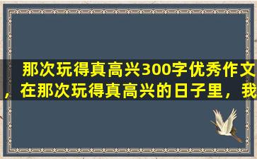 那次玩得真高兴300字优秀作文，在那次玩得真高兴的日子里，我们度过了难忘的时光