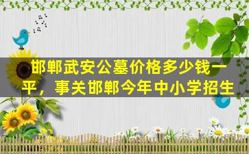 邯郸武安公墓价格多少钱一平，事关邯郸今年中小学招生