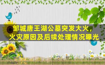 邹城唐王湖公墓突发大火，火灾原因及后续处理情况曝光