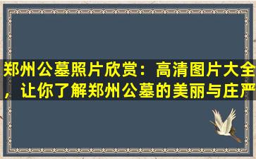 郑州公墓照片欣赏：高清图片大全，让你了解郑州公墓的美丽与庄严
