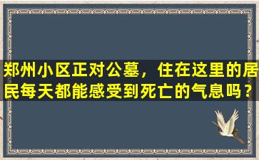 郑州小区正对公墓，住在这里的居民每天都能感受到死亡的气息吗？