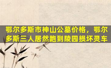 鄂尔多斯市神山公墓价格，鄂尔多斯三人居然跑到陵园损坏灵车