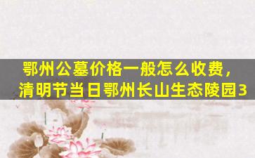 鄂州公墓价格一般怎么收费，清明节当日鄂州长山生态陵园3