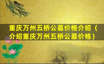 重庆万州五桥公墓价格介绍（介绍重庆万州五桥公墓价格）