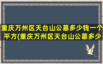 重庆万州区天台山公墓多少钱一个平方(重庆万州区天台山公墓多少钱一个平方米)