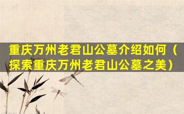重庆万州老君山公墓介绍如何（探索重庆万州老君山公墓之美）