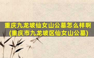 重庆九龙坡仙女山公墓怎么样啊(重庆市九龙坡区仙女山公墓)