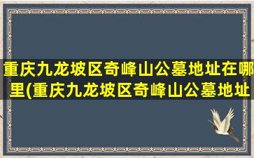 重庆九龙坡区奇峰山公墓地址在哪里(重庆九龙坡区奇峰山公墓地址电话)