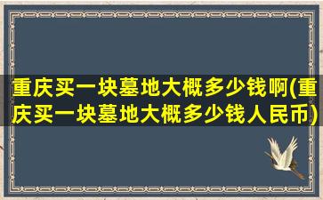 重庆买一块墓地大概多少钱啊(重庆买一块墓地大概多少钱人民币)