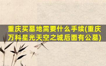 重庆买墓地需要什么手续(重庆万科星光天空之城后面有公墓)