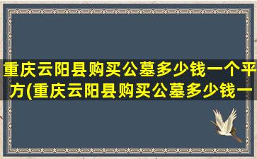 重庆云阳县购买公墓多少钱一个平方(重庆云阳县购买公墓多少钱一个月)