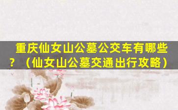 重庆仙女山公墓公交车有哪些？（仙女山公墓交通出行攻略）