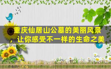 重庆仙居山公墓的美丽风景，让你感受不一样的生命之美