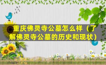 重庆佛灵寺公墓怎么样（了解佛灵寺公墓的历史和现状）