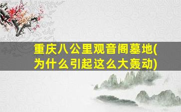 重庆八公里观音阁墓地(为什么引起这么大轰动)