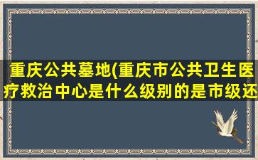重庆公共墓地(重庆市公共卫生医疗救治中心是什么级别的是市级还是区级和常规的医院有什么区别)