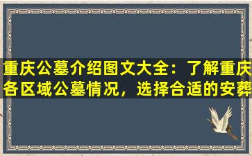重庆公墓介绍图文大全：了解重庆各区域公墓情况，选择合适的安葬地
