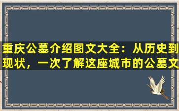重庆公墓介绍图文大全：从历史到现状，一次了解这座城市的公墓文化