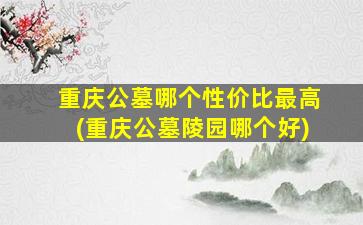重庆公墓哪个性价比最高(重庆公墓陵园哪个好)