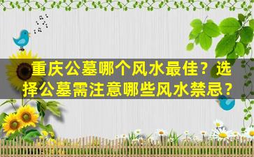重庆公墓哪个风水最佳？选择公墓需注意哪些风水禁忌？