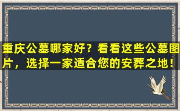 重庆公墓哪家好？看看这些公墓图片，选择一家适合您的安葬之地！