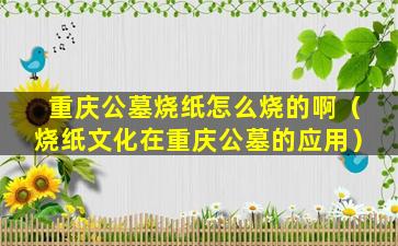 重庆公墓烧纸怎么烧的啊（烧纸文化在重庆公墓的应用）