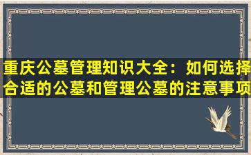 重庆公墓管理知识大全：如何选择合适的公墓和管理公墓的注意事项