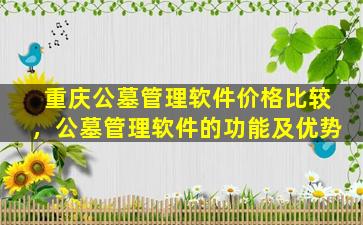 重庆公墓管理软件价格比较，公墓管理软件的功能及优势