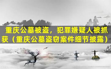 重庆公墓被盗，犯罪嫌疑人被抓获（重庆公墓盗窃案件细节披露）