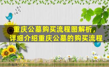 重庆公墓购买流程图解析，详细介绍重庆公墓的购买流程