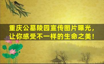 重庆公墓陵园宣传图片曝光，让你感受不一样的生命之美！
