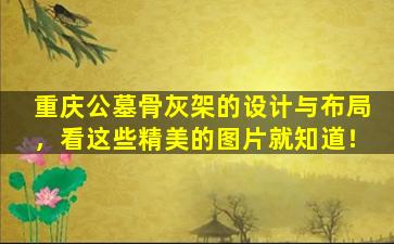 重庆公墓骨灰架的设计与布局，看这些精美的图片就知道！
