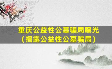 重庆公益性公墓骗局曝光（揭露公益性公墓骗局）