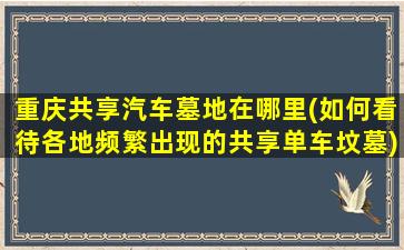 重庆共享汽车墓地在哪里(如何看待各地频繁出现的共享单车坟墓)