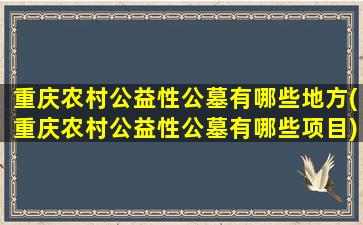 重庆农村公益性公墓有哪些地方(重庆农村公益性公墓有哪些项目)