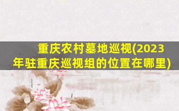 重庆农村墓地巡视(2023年驻重庆巡视组的位置在哪里)
