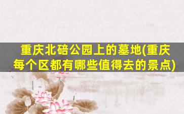 重庆北碚公园上的墓地(重庆每个区都有哪些值得去的景点)