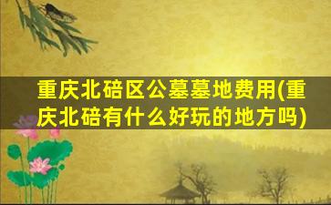 重庆北碚区公墓墓地费用(重庆北碚有什么好玩的地方吗)