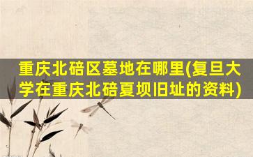 重庆北碚区墓地在哪里(复旦大学在重庆北碚夏坝旧址的资料)
