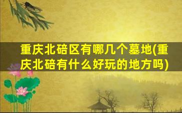 重庆北碚区有哪几个墓地(重庆北碚有什么好玩的地方吗)