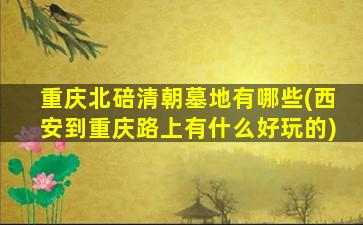 重庆北碚清朝墓地有哪些(西安到重庆路上有什么好玩的)
