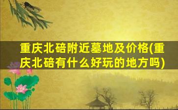 重庆北碚附近墓地及价格(重庆北碚有什么好玩的地方吗)