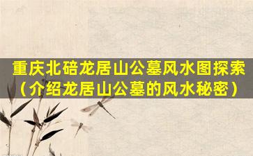 重庆北碚龙居山公墓风水图探索（介绍龙居山公墓的风水秘密）