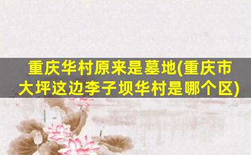 重庆华村原来是墓地(重庆市大坪这边李子坝华村是哪个区)