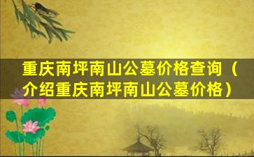 重庆南坪南山公墓价格查询（介绍重庆南坪南山公墓价格）