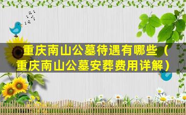 重庆南山公墓待遇有哪些（重庆南山公墓安葬费用详解）