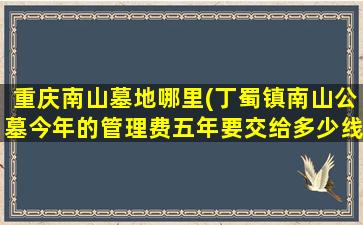 重庆南山墓地哪里(丁蜀镇南山公墓今年的管理费五年要交给多少线)