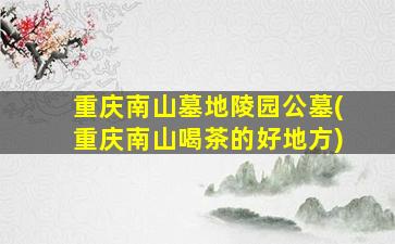 重庆南山墓地陵园公墓(重庆南山喝茶的好地方)