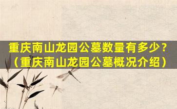 重庆南山龙园公墓数量有多少？（重庆南山龙园公墓概况介绍）